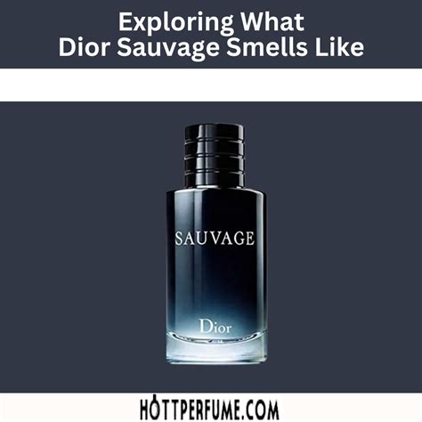 what smells like dior sauvage|colognes that smell like sauvage.